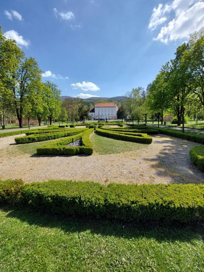 Hotel Aleks Sobe Banja Koviljača Exteriér fotografie