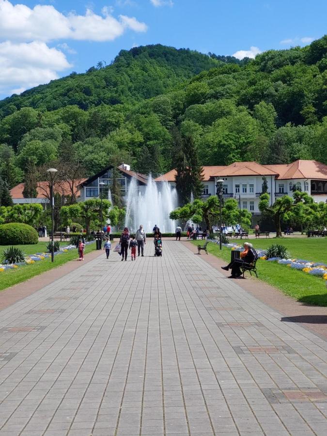 Hotel Aleks Sobe Banja Koviljača Exteriér fotografie