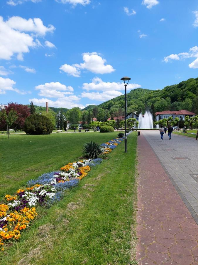 Hotel Aleks Sobe Banja Koviljača Exteriér fotografie