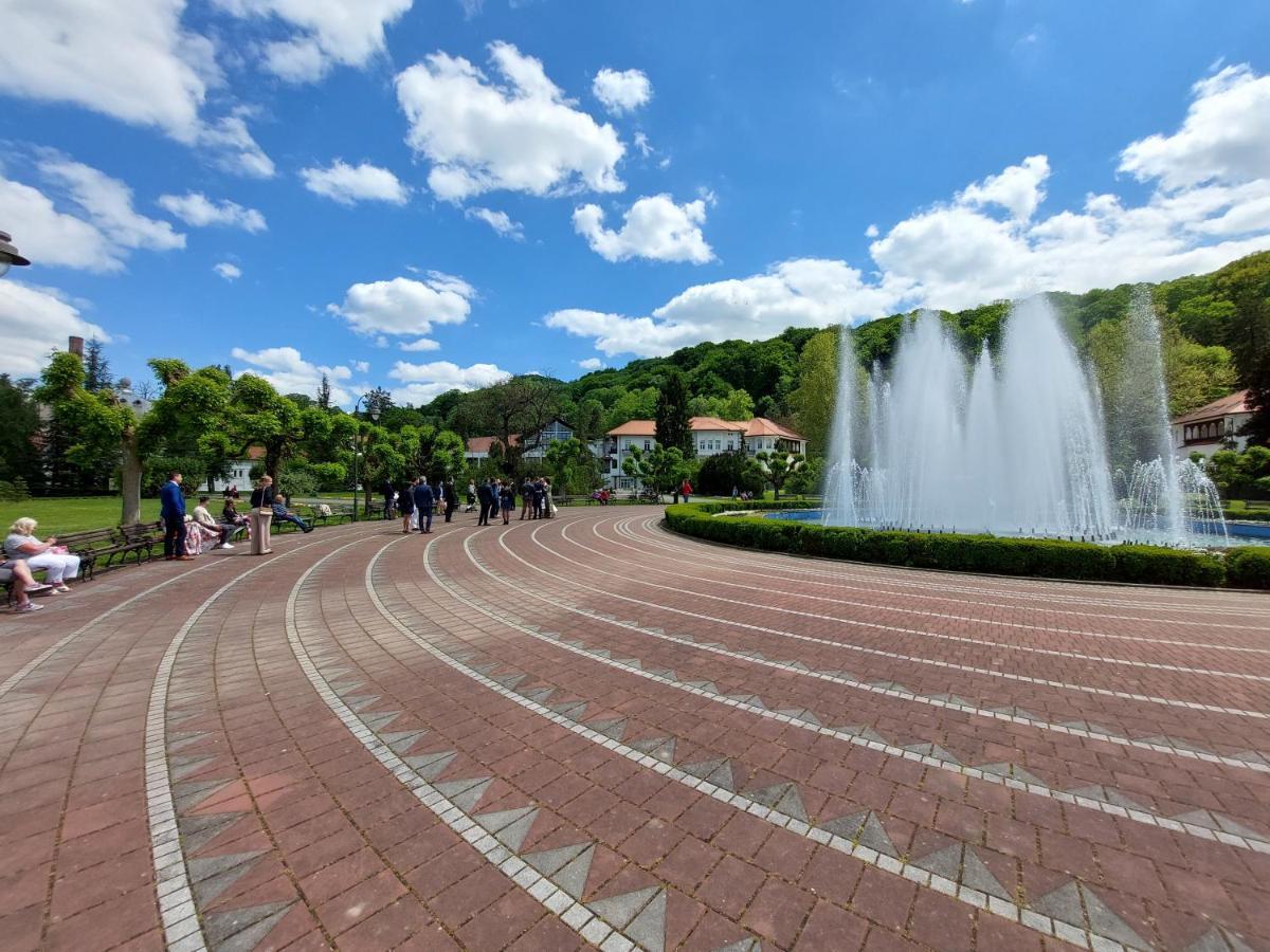 Hotel Aleks Sobe Banja Koviljača Exteriér fotografie
